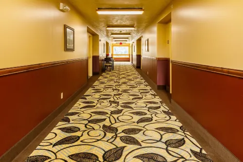 49'er Inn & Suites Public Areas Photos
