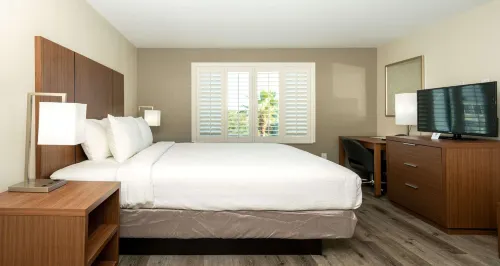 Best Western Houston Bush InterContinental Airport Inn Photos