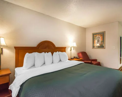 Quality Inn & Suites at Tropicana Field Rooms Photos