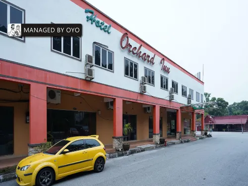 Hotel O Hotel Orchard Inn Udvendigt Photos