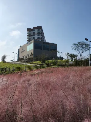 고흥썬밸리리조트 호텔 주변 Photos