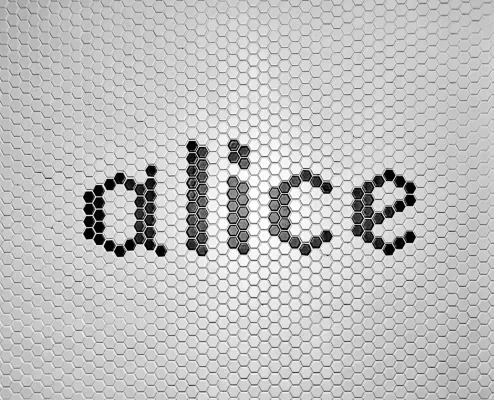 Hotel Alice and Trunk Kamar Photos