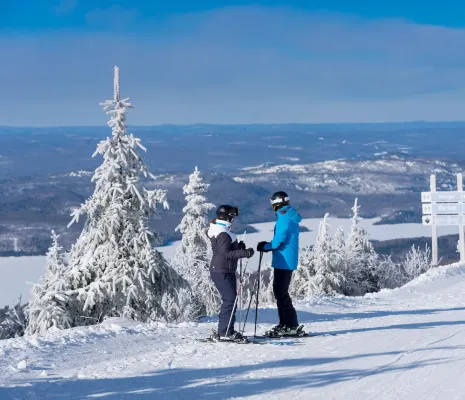 Microtel Inn & Suites by Wyndham Mont Tremblant Near Hotel Photos