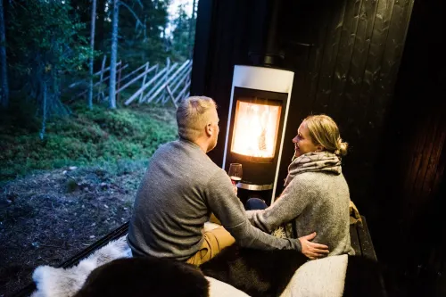 Arctic TreeHouse Hotel Photos