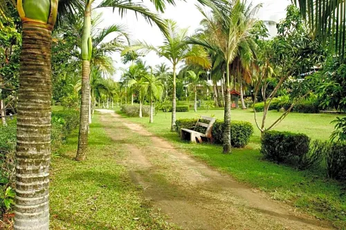 Batam View Beach Resort Exterior Photos