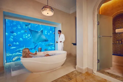 Atlantis, the Palm Phòng Photos