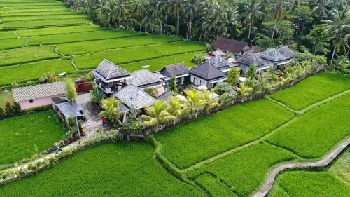 Villa JJ and Spa Ubud Eksterior Photos