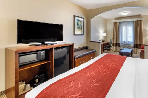 Comfort Suites Near Six Flags Magic Mountain Rooms Photos