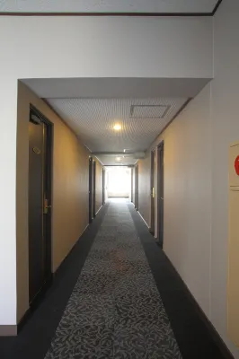 Shimizu City Hotel Aree comuni Photos