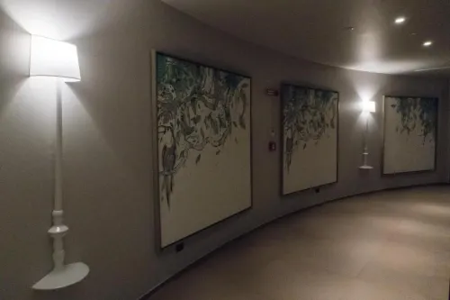 Hotel San Giovanni Roma Public Areas Photos