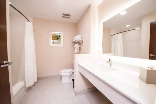 Fairfield Inn & Suites Dallas Plano North Photos