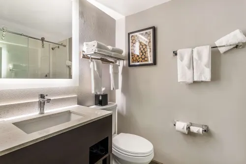 Best Western Atlanta-Marietta Ballpark Hotel Chambres Photos