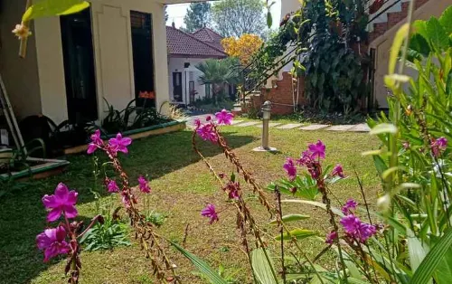 Seulawah Resort and Cafe Extérieur Photos