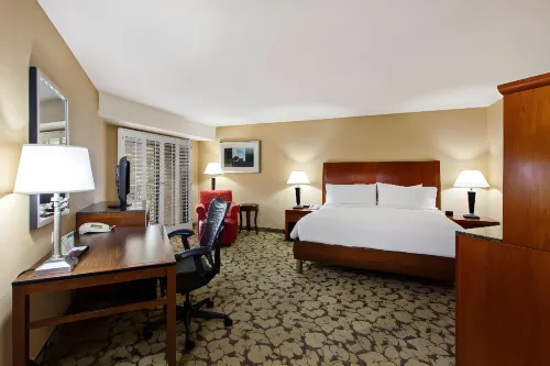 Hilton Garden Inn Valencia at Six Flags Rooms Photos