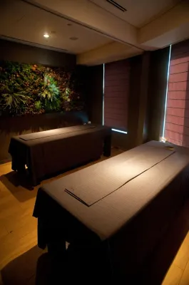 Park Hotel Tokyo Business Photos