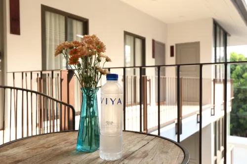 Viya Lodge Near Hotel Photos