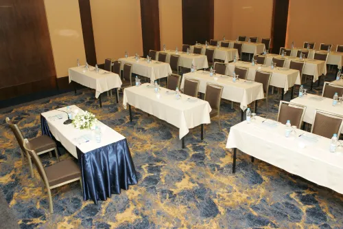 Dead Sea Spa Hotel Бизнес-удобства Photos