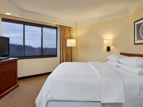 Embassy Suites by Hilton Tysons Corner Rooms Photos