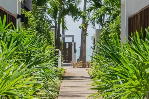 NH Collection Samui Peace Resort Espaces publics Photos