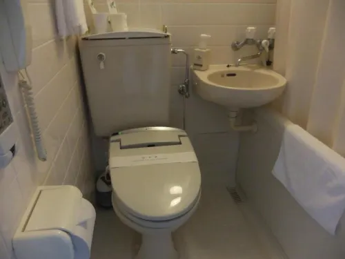 Enagic Okinawa Kokusai Plaza Hotel Zimmer Photos
