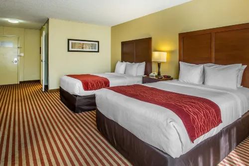 Comfort Inn & Suites Kissimmee by the Parks الغرف Photos