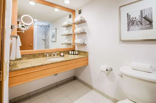 Embassy Suites by Hilton Chicago O'Hare Rosemont Rooms Photos