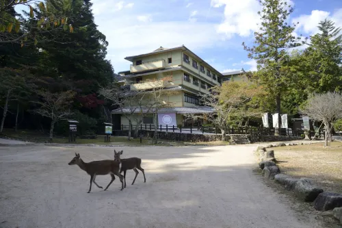Miyajima Morinoyado Espaces publics Photos