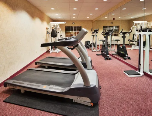 Holiday Inn Express Madera-Yosemite PK Area Leisure & Recreation Photos