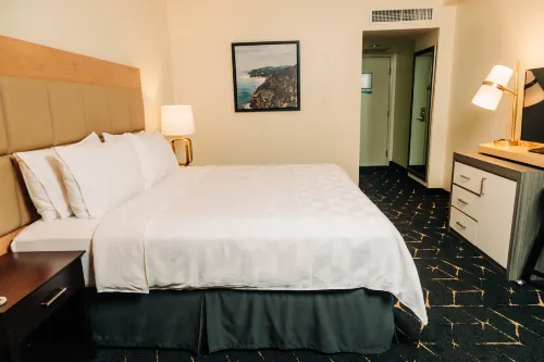 Holiday Inn San Salvador Rooms Photos