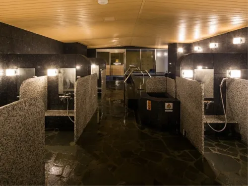 APA Hotel Sugamo Ekimae Freizeit und Erholung Photos