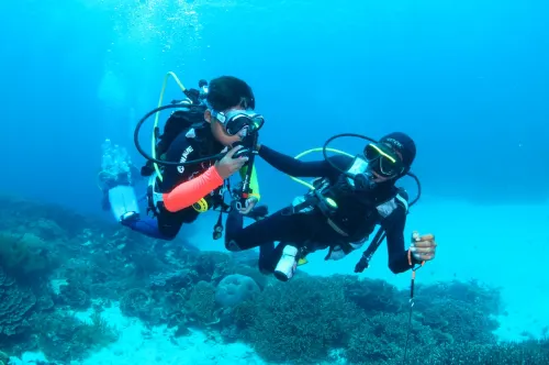 Kadena Glamping Dive Resort - Anyer Banten Unggulan Photos