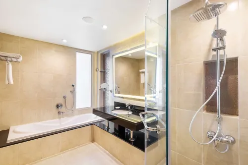 Radisson Blu Hotel & Convention Center, Alexandria Zimmer Photos