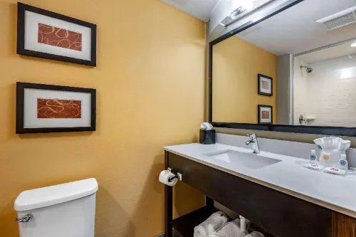 Comfort Suites Fort Lauderdale Airport South & Cruise Port Chambres Photos