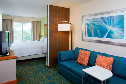 SpringHill Suites Atlanta Six Flags Phòng Photos