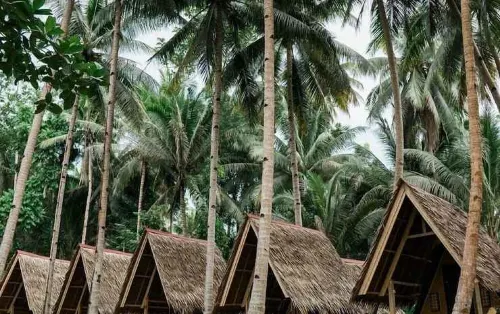 Loboc Nipa Hut Village Exterior Photos