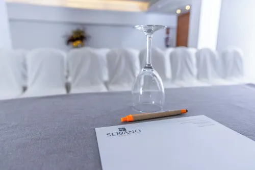 Hotel Serrano Business Facilities Photos