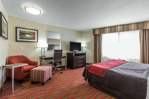 Comfort Inn Los Angeles near Hollywood Rum Photos