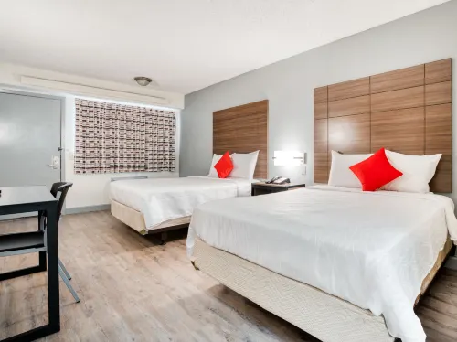 Dallas Love Field Inn Rooms Photos
