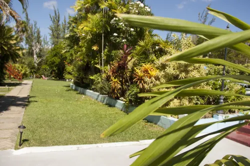 Palm Garden Hotel Barbados Esterni Photos