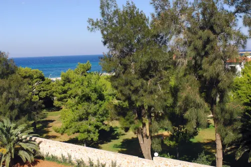 Palmyra Beach Hotel Рядом с отелем Photos