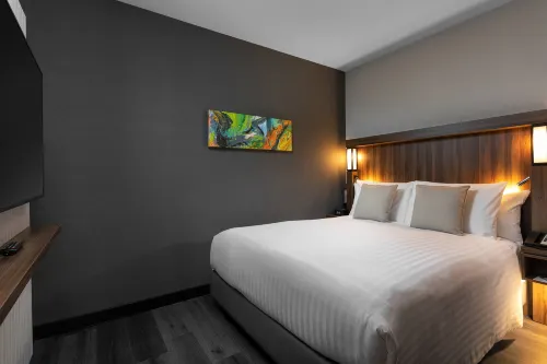 Courtyard Amsterdam Airport Rooms Photos
