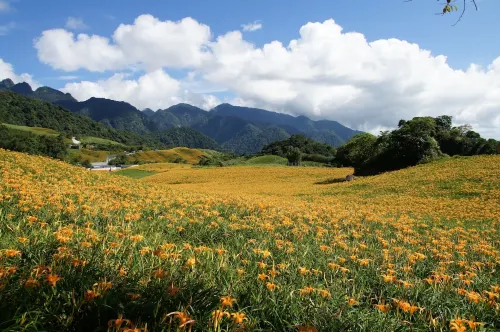 Hotel Les Champs Hualien À proximité de l'hôtel Photos