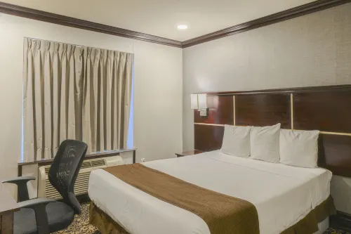 Woodbine Hotel & Suites Camere Photos
