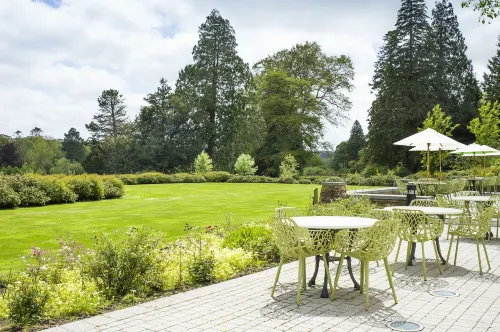 The Cornwall Hotel Spa & Lodges Espaces publics Photos