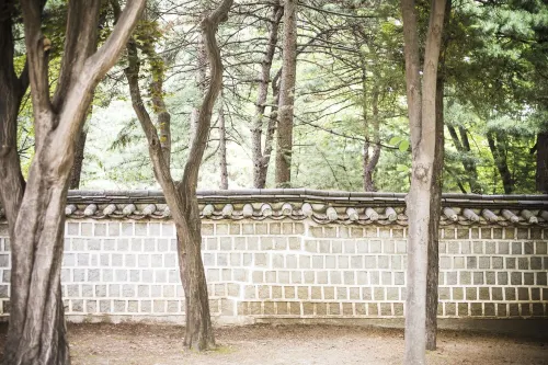 안다즈 서울 강남 호텔 외관 Photos