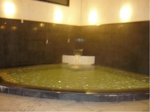 Business Hotel Cosmo Inn Benessere e tempo libero Photos
