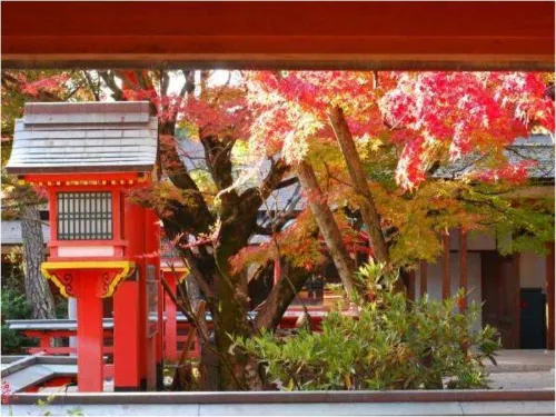 Sun Members Kyoto Saga Photos