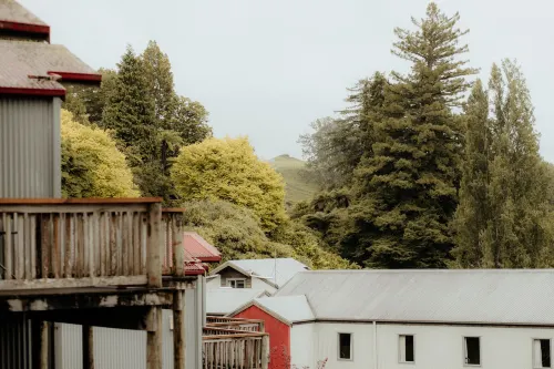Waitomo Village Chalets Home of Kiwipaka Near Hotel Photos