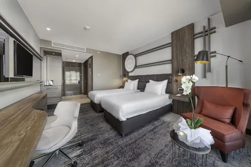 Dedeman Tokat Camere Photos