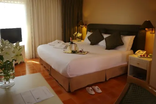Suites del Bosque Hotel Phòng Photos